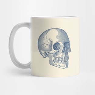 Human Skull Diagram - Vintage Anatomy Print Mug